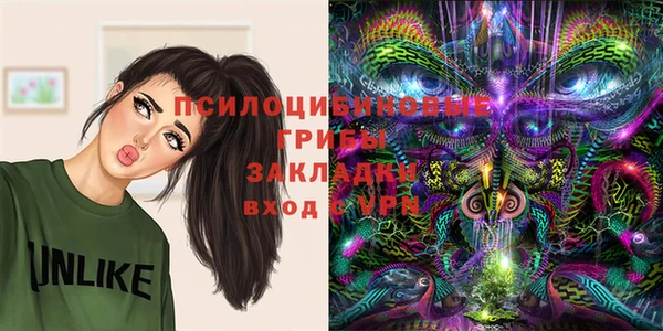 прущие грибы Михайловка