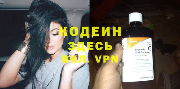 прущие грибы Михайловка