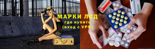 прущие грибы Михайлов