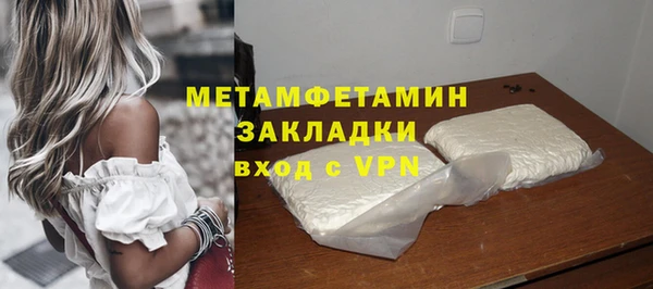 прущие грибы Михайловка
