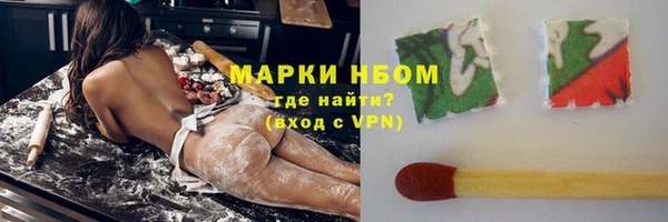 прущие грибы Михайлов