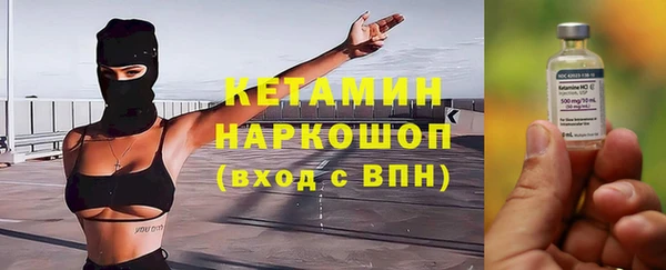 прущие грибы Михайлов