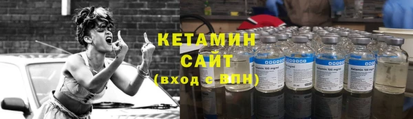 прущие грибы Михайловка
