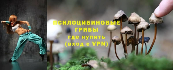 прущие грибы Михайловка