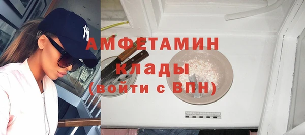 прущие грибы Михайлов