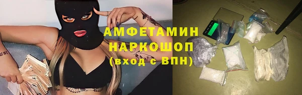 прущие грибы Михайлов