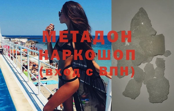 прущие грибы Михайлов