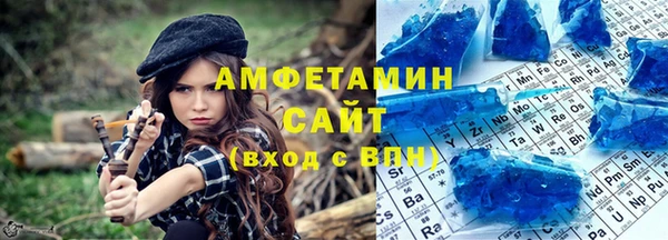 прущие грибы Михайлов