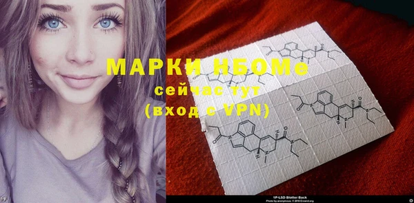 прущие грибы Михайловка