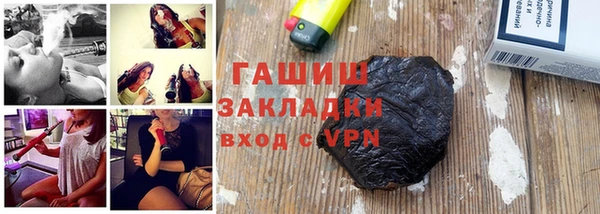 прущие грибы Михайлов