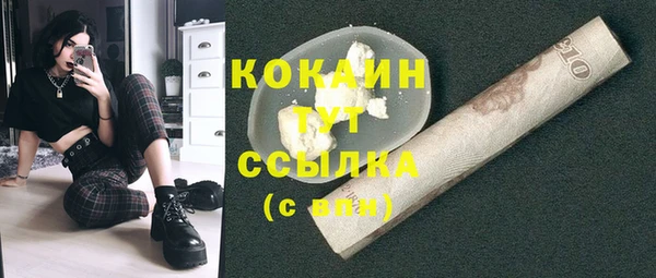 прущие грибы Михайловка
