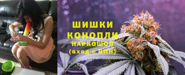 прущие грибы Михайловка