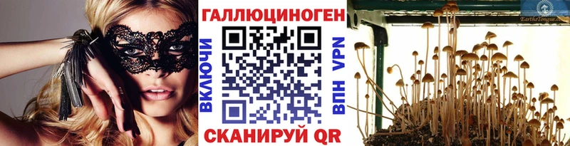 Галлюциногенные грибы Psilocybe  OMG маркетплейс  Верхоянск 